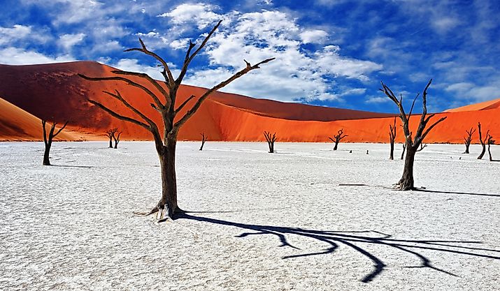 Dead Camelthorn Trees against red dunes and blue sky in Deadvlei, Sossusvlei. Namib-Naukluft National Park.