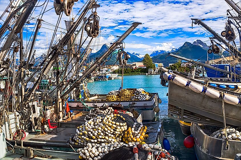 Fishing boats crowded in a vibrant harbor, surrounded by mountains and blue sky. Nets and buoys cover the decks, creating a busy yet serene atmosphere.