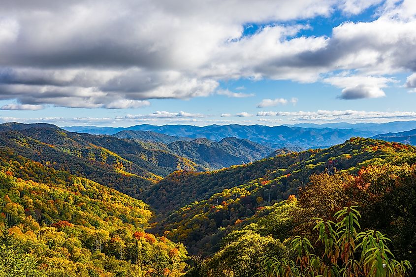 Beautiful autumn scenery in Great Smoky Mountains National Park.