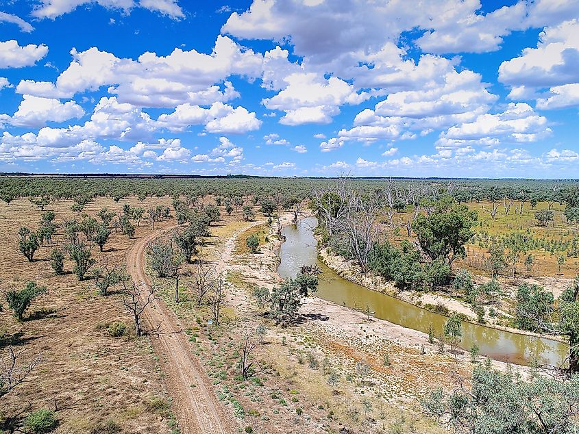 Dried up Murray River Wetlands near Mildura, Australia, downstream from Hume Dam and Dartmouth Dam.