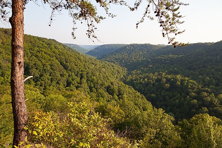 Cumberland Plateau, Kentucky