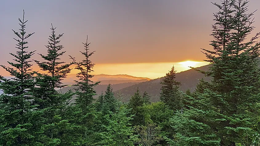 Kuwohi (Clingmans Dome) in the Great Smoky Mountains National Park.