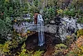 Fall Creek Falls State Park in Tennessee.